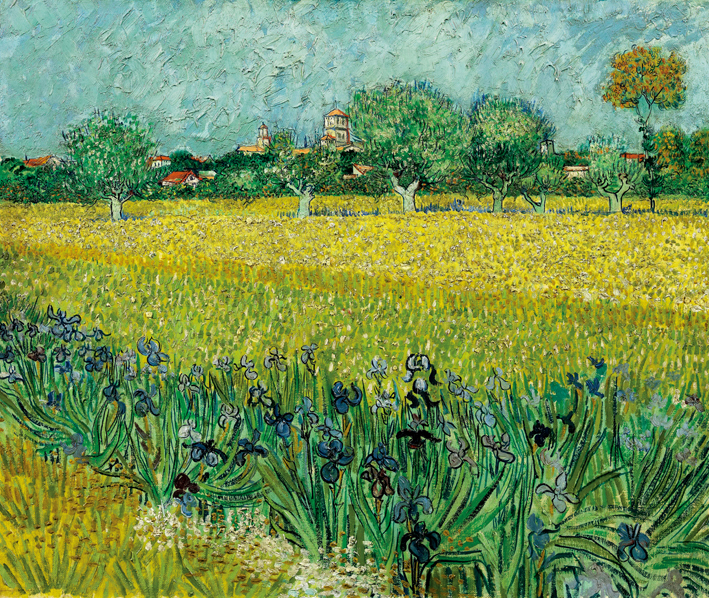  文森特·威廉·梵高  Vincent Willen Van Gogh —— 阿尔勒田野上的鸢尾花